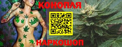 крисы Малоярославец